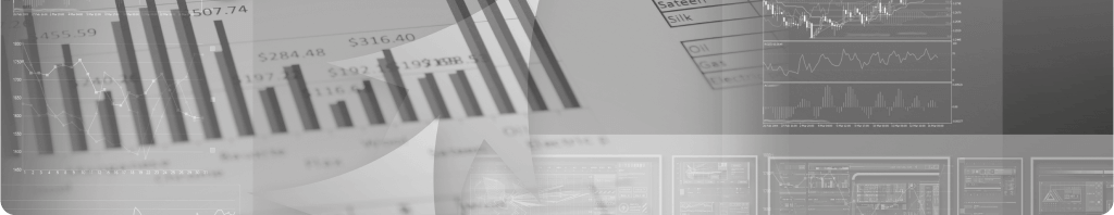 consulenza informatica
